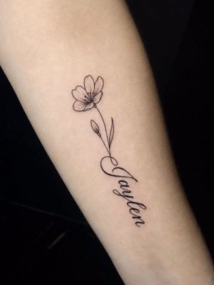 fine-line2